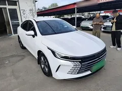 2024 BYD Destroyer 05 DM-i PHEV 55km Luxury, белый — фото 4