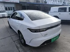 2024 BYD Destroyer 05 DM-i PHEV 55km Luxury, белый — фото 5