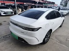 2024 BYD Destroyer 05 DM-i PHEV 55km Luxury, белый — фото 7