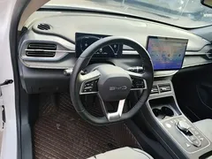 2024 BYD Destroyer 05 DM-i PHEV 55km Luxury, белый — фото 10