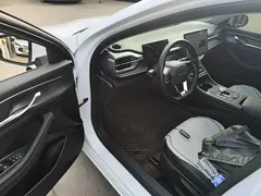 2024 BYD Destroyer 05 DM-i PHEV 55km Luxury, белый — фото 16