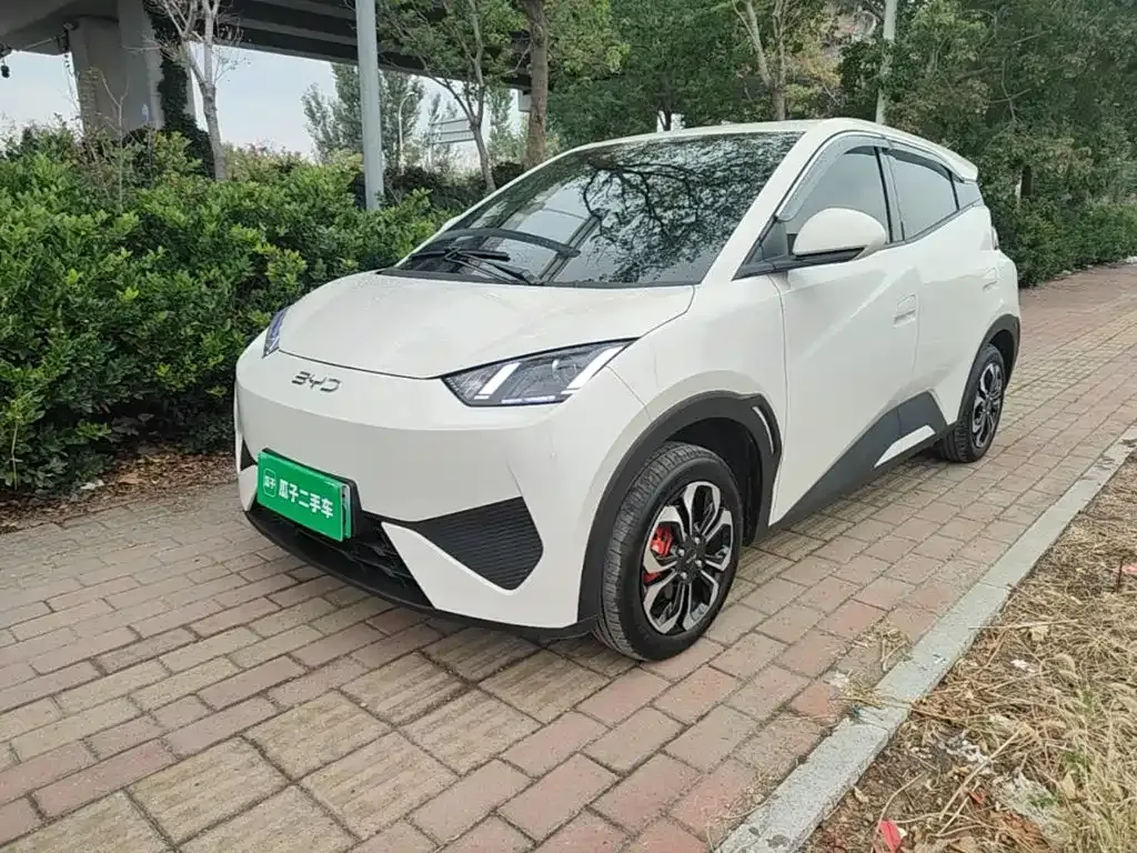 2025 BYD Seagull EV 305km