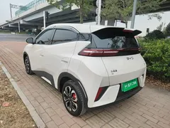 2025 BYD Seagull EV 305km, белый — фото 5