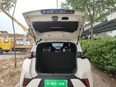 2025 BYD Seagull EV 305km, белый — фото 19