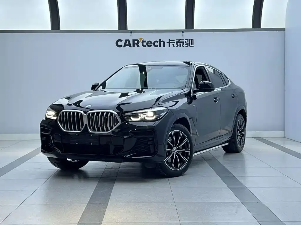2022 BMW X6