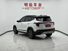 2023 Kia Seltos 1.5L CVT Luxury, белый — фото 8