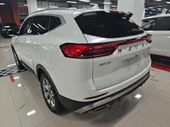 2021 Haval H6 1.5GDIT AT Guochao Champion, белый — фото 5