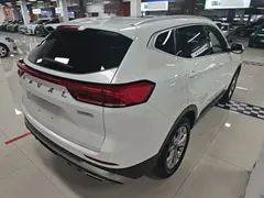 2021 Haval H6 1.5GDIT AT Guochao Champion, белый — фото 7