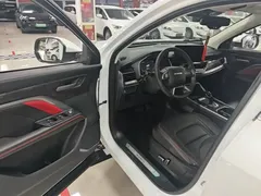 2021 Haval H6 1.5GDIT AT Guochao Champion, белый — фото 16