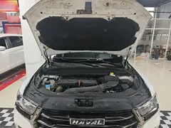 2021 Haval H6 1.5GDIT AT Guochao Champion, белый — фото 20