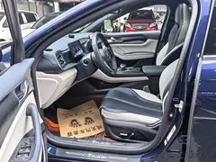 2023 BYD Qin PLUS Champion DM-i PHEV 120KM, синий — фото 7