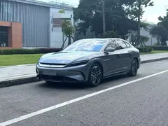 2021 BYD Han EV Standard Range Luxury — фото 1