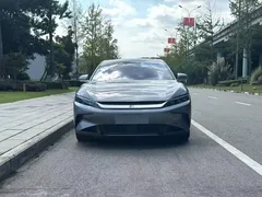 2021 BYD Han EV Standard Range Luxury — фото 2