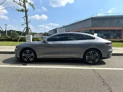 2021 BYD Han EV Standard Range Luxury — фото 6