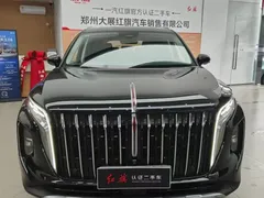 2024 Hongqi HS7 2.0T PHEV 4WD 6, чёрный — фото 2