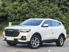 2021 Haval H6 1.5GDIT AT Champion, белый — фото 1