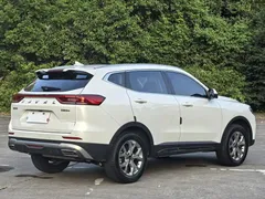 2021 Haval H6 1.5GDIT AT Champion, белый — фото 6