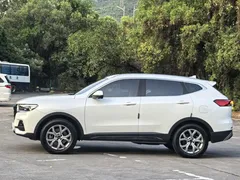 2021 Haval H6 1.5GDIT AT Champion, белый — фото 7