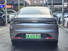 2023 BYD Destroyer 05 Champion DM-i PHEV 120KM Premium — фото 5