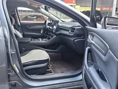 2023 BYD Destroyer 05 Champion DM-i PHEV 120KM Premium — фото 11