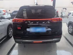 2021 Haval H6 1.5GDIT AT Guochao Champion, чёрный — фото 6