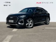 2021 Audi Q5L Sportback 40 TFSI Luxury, чёрный — фото 1