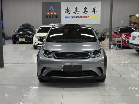 2023 BYD Dolphin 420km Fashion