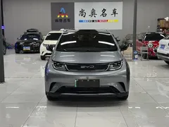 2023 BYD Dolphin 420km Fashion — фото 1