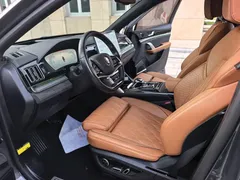 2023 BYD Tang DM-i PHEV Champion 112km Premium — фото 7