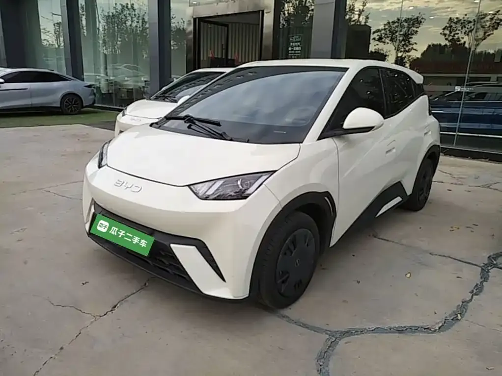 2025 BYD Seagull 305km Vitality