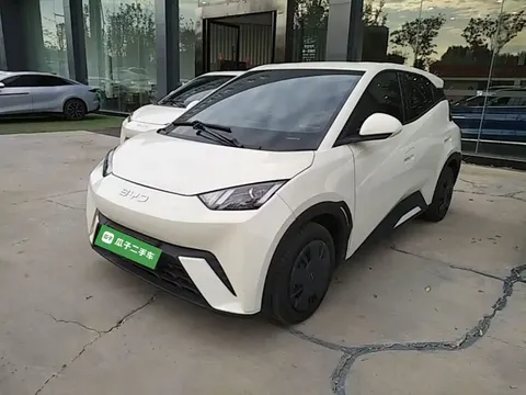2025 BYD Seagull 305km Vitality