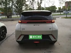 2025 BYD Seagull 305km Vitality — фото 6