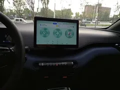 2025 BYD Seagull 305km Vitality — фото 13