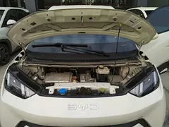 2025 BYD Seagull 305km Vitality — фото 20