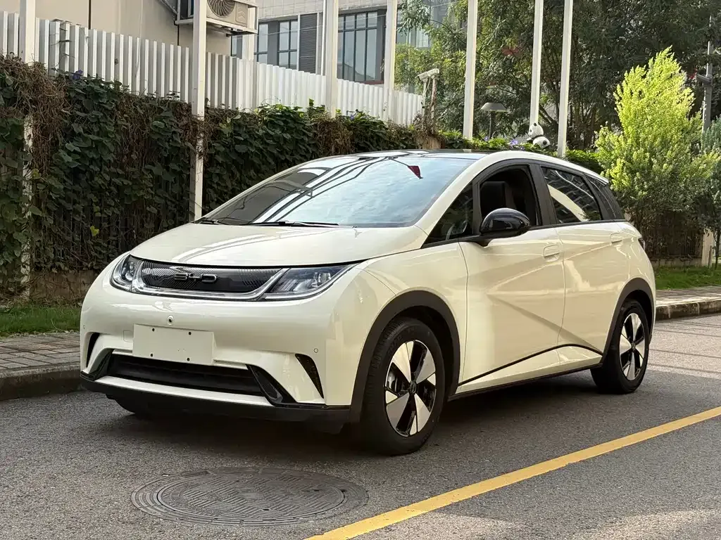 2023 BYD Dolphin 420km Fashion