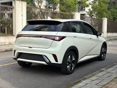2023 BYD Dolphin 420km Fashion — фото 14