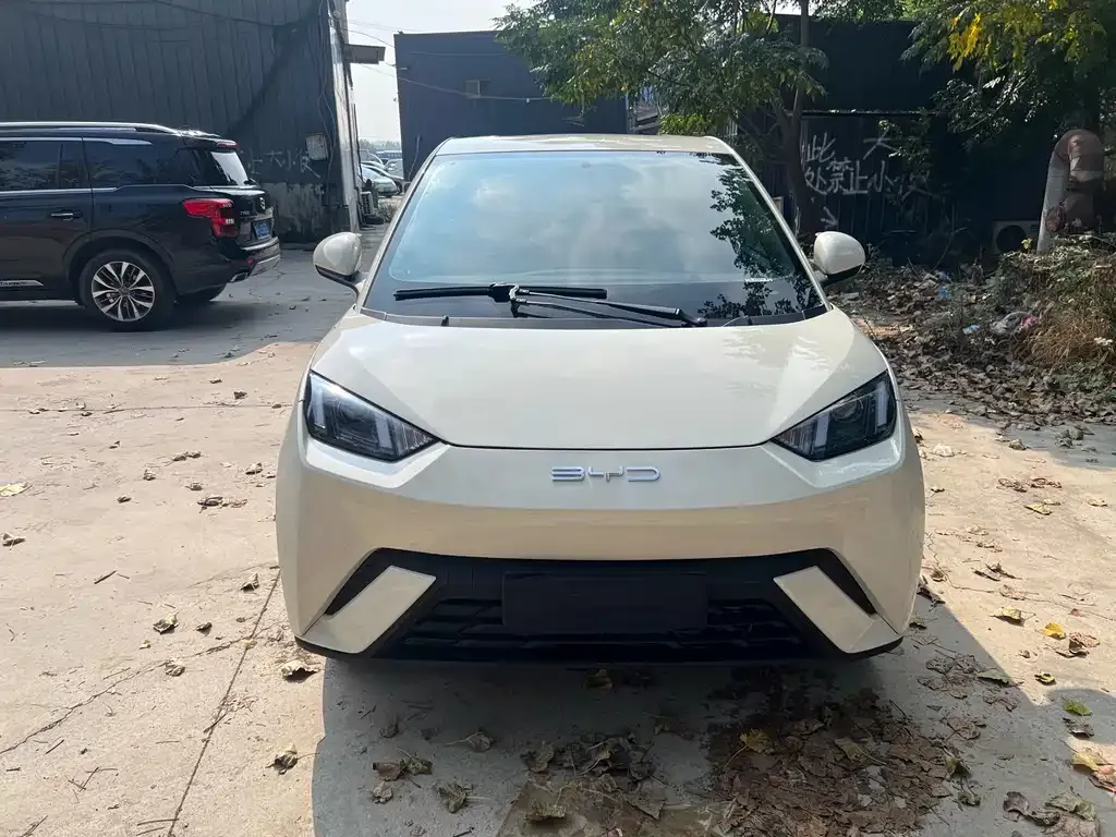 2024 BYD Seagull EV 305km Honor Freedom