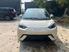 2024 BYD Seagull EV 305km Honor Freedom — фото 1
