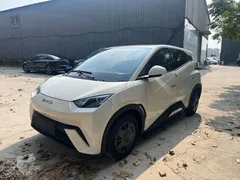 2024 BYD Seagull EV 305km Honor Freedom — фото 3