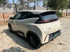2024 BYD Seagull EV 305km Honor Freedom — фото 7
