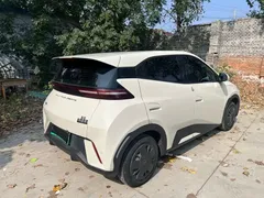 2024 BYD Seagull EV 305km Honor Freedom — фото 9