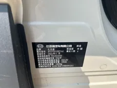 2024 BYD Seagull EV 305km Honor Freedom — фото 10