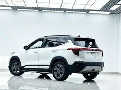 2023 Kia Seltos 1.5L CVT Luxury, белый — фото 6