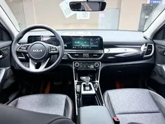 2023 Kia Seltos 1.5L CVT Luxury, белый — фото 11