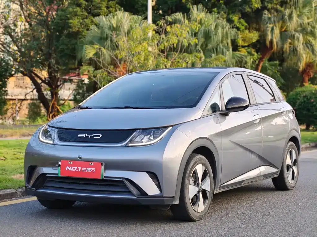 2023 BYD Dolphin 420km Freedom