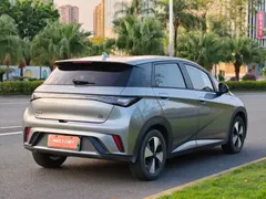 2023 BYD Dolphin 420km Freedom — фото 4