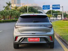 2023 BYD Dolphin 420km Freedom — фото 5