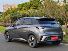 2023 BYD Dolphin 420km Freedom — фото 6