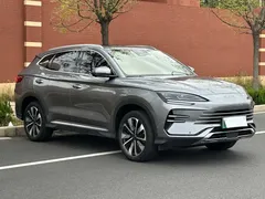 2025 BYD Song PLUS PHEV DM-i 160km Flagship — фото 3