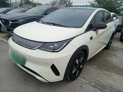 2025 BYD Dolphin Smart Driving 410km Fashion